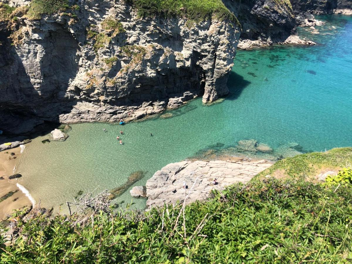 Campsite Bumblebee Tintagel