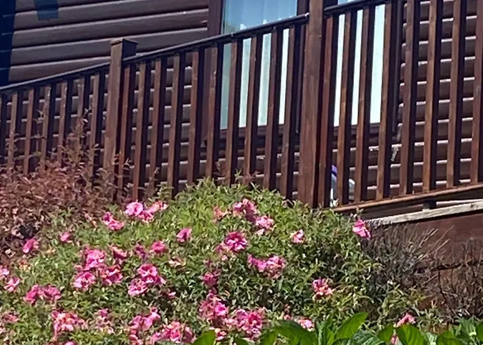 Bumblebee Lodge